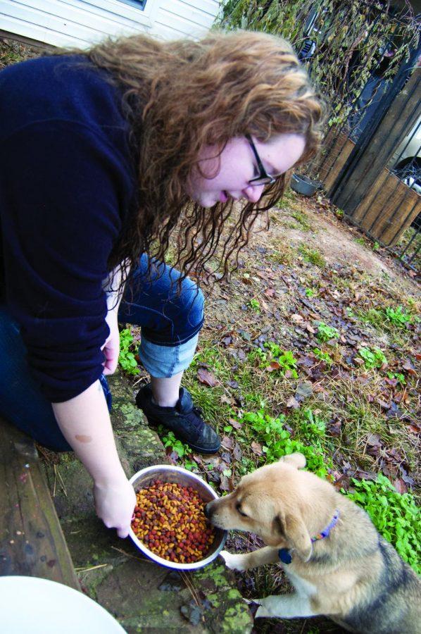 Junior Katelyn Kitching feeds her dog Ellie. To decrease the number of unwanted animals in Florence, officials have passed a fee for pet owners.