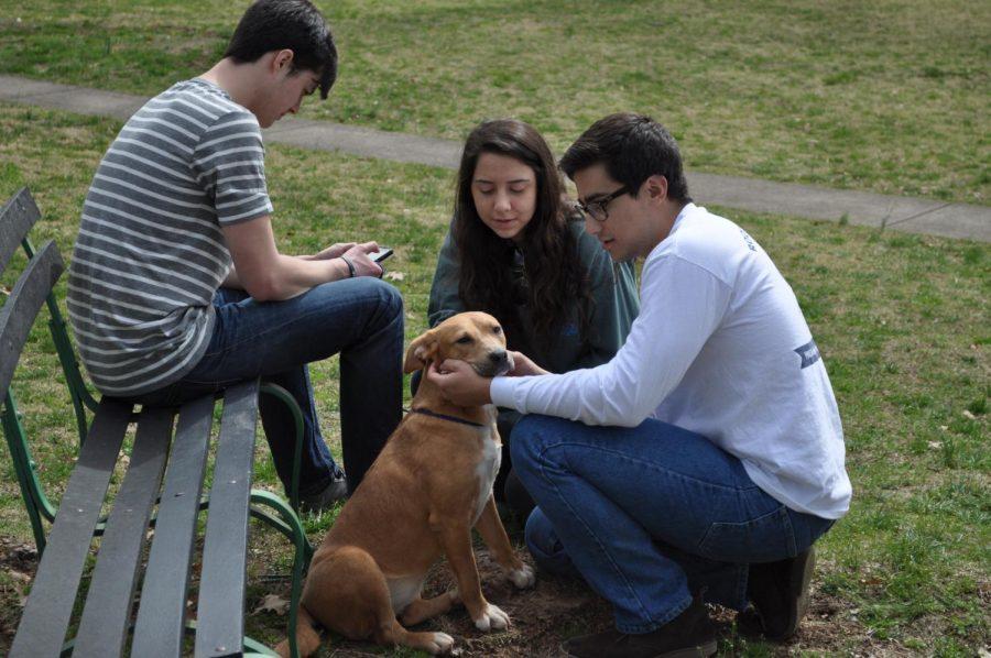 Sophomores Jordan Cooper, Brittany Knight and Hugo Dante play with a dog March 18 during Puppy Palooza, an event hosted by Freshman Forum. Students were able to play with puppies and dogs from the Florence Lauderdale Animal Shelter at the Amphitheater in order to relieve mid-semester stress.