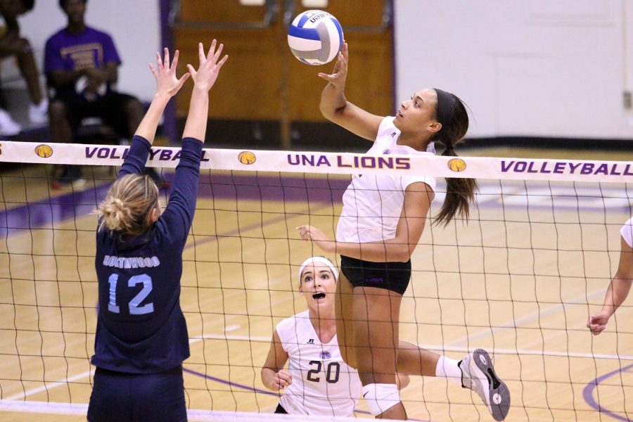 Junior hitter Jessica Austin attempts the kill during a UNA Volleyball Classic tournament match against Northwood Sept. 2 in Flowers Hall. The Lions finished the tournament with a 4-0 record.
