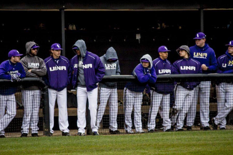 Lions baseball schedules fifty-five games this season