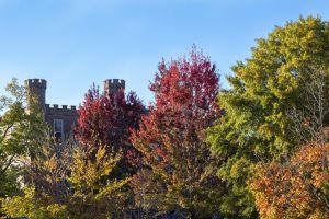 UNA’s ghosts remind Florence of its history