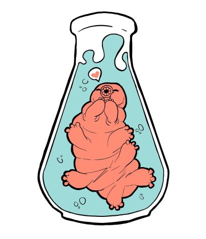 Student, professor investigate tardigrades