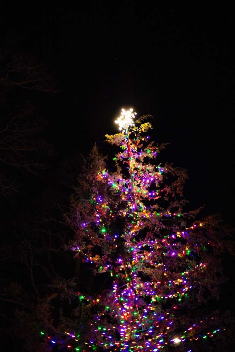 A lit-up Christmas Tree.